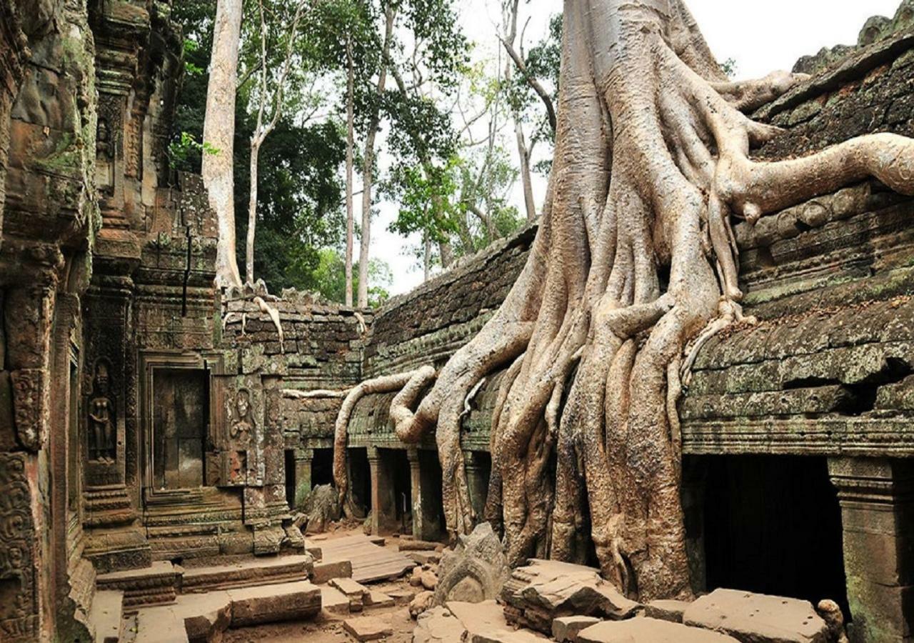 Anachak Angkor Residence Siem Reap Dış mekan fotoğraf
