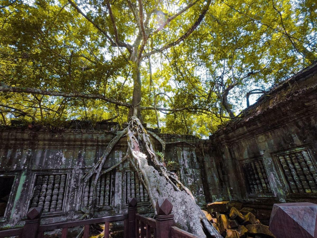 Anachak Angkor Residence Siem Reap Dış mekan fotoğraf